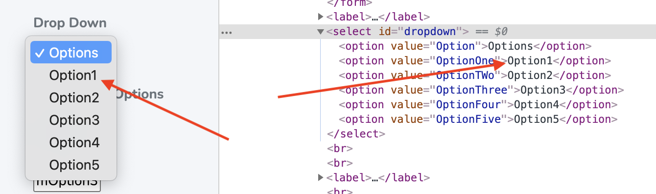 DropDown